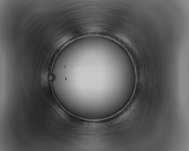 X0000088180873200705221640