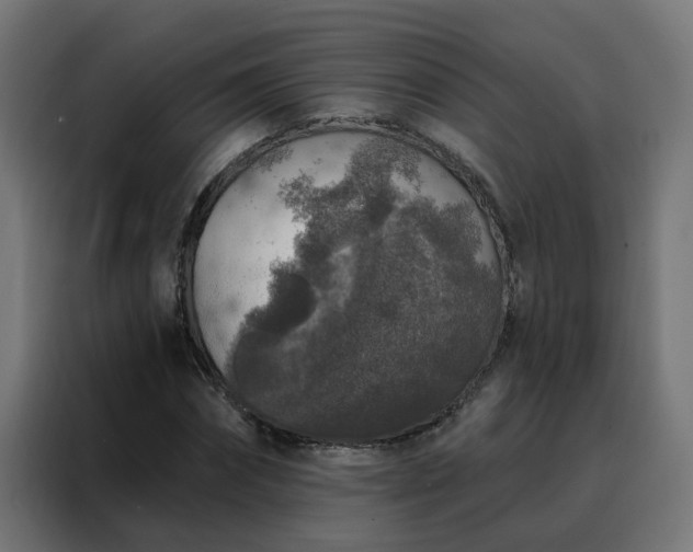 X0000088180874200705221640