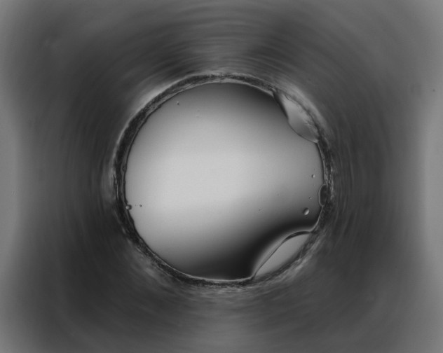 X0000088180876200705221640