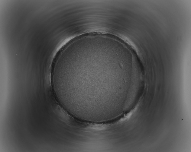X0000088180877200705221640