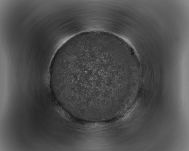 X0000088180879200705221640