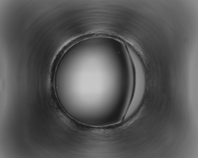 X0000088180880200705221640