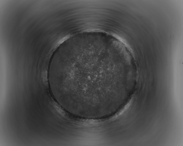 X0000088180881200705221640