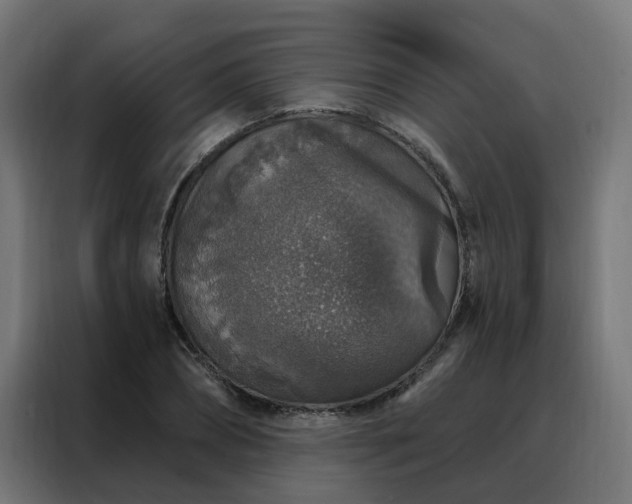 X0000088180882200705221640