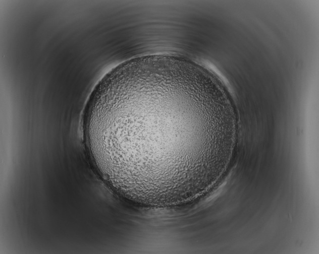 X0000088180883200705221640