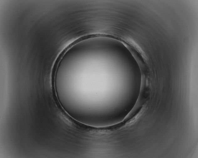 X0000088180884200705221640