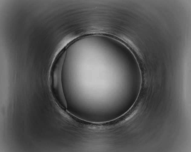 X0000088180885200705221640