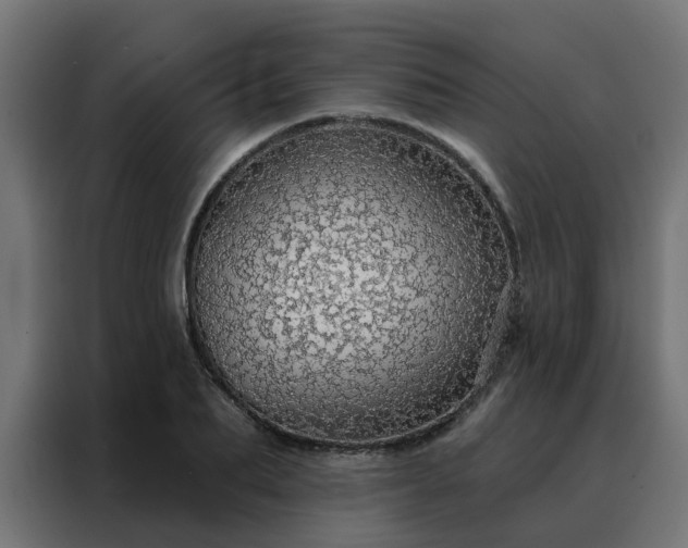 X0000088180887200705221640