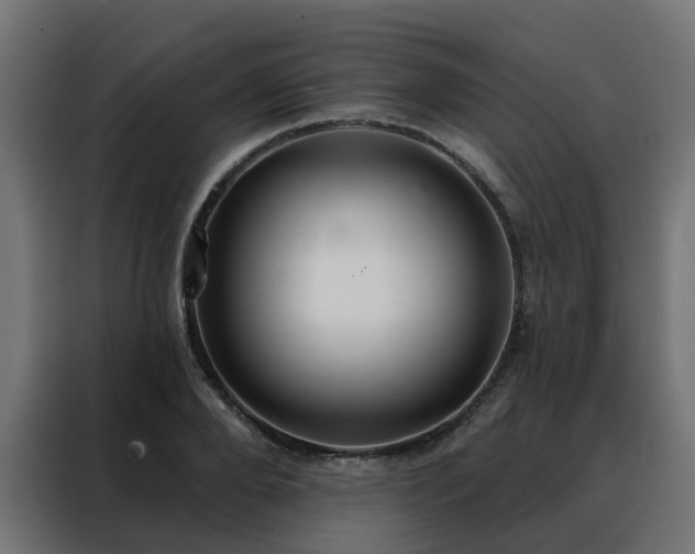 X0000088180888200705221640
