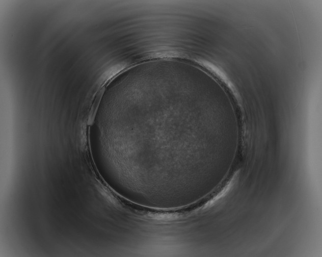 X0000088180889200705221640