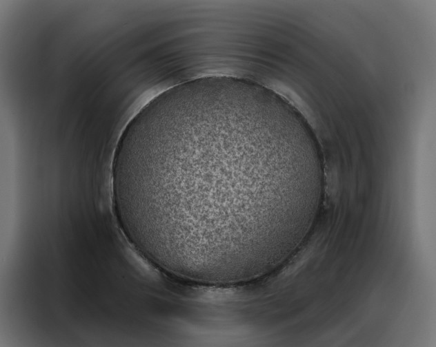 X0000088180890200705221640