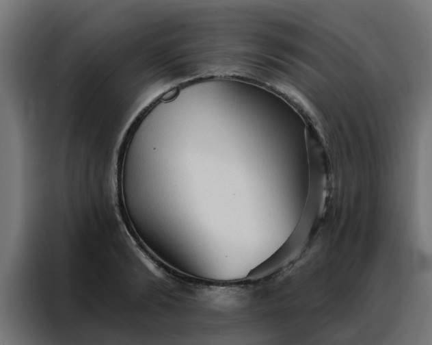 X0000088180894200705221640