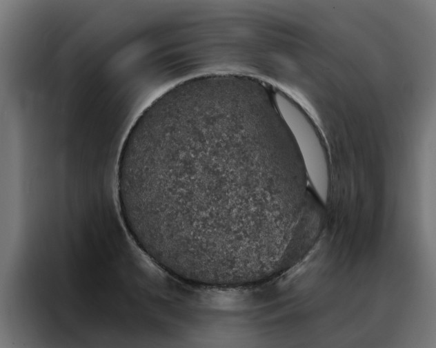 X0000088180895200705221640