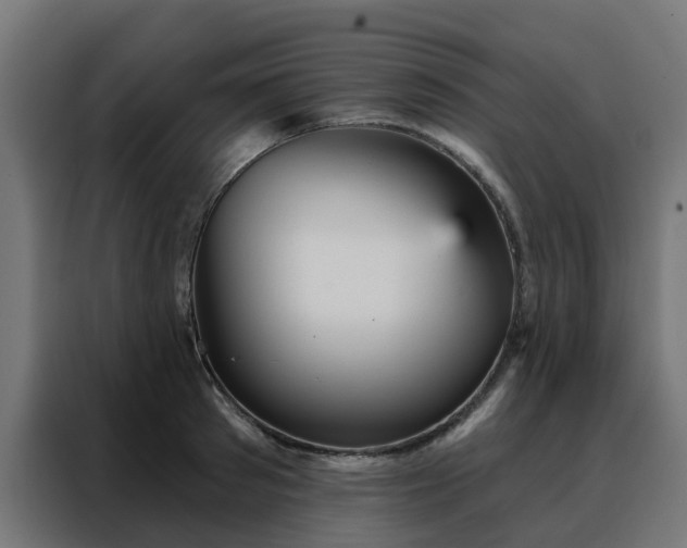 X0000088180897200705221640