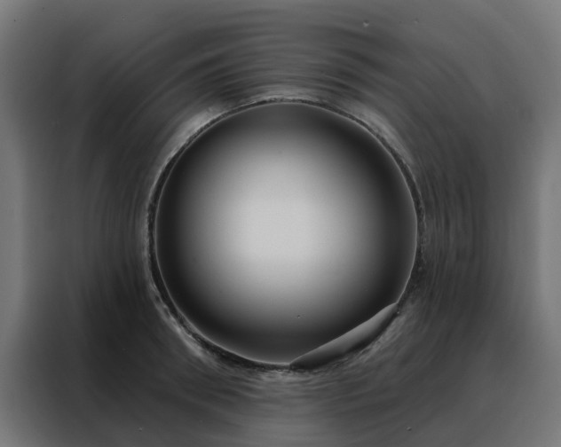 X0000088180898200705221640