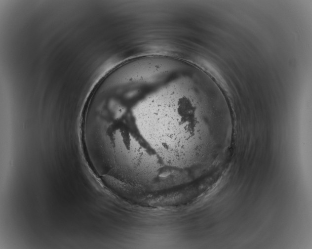 X0000088180899200705221640