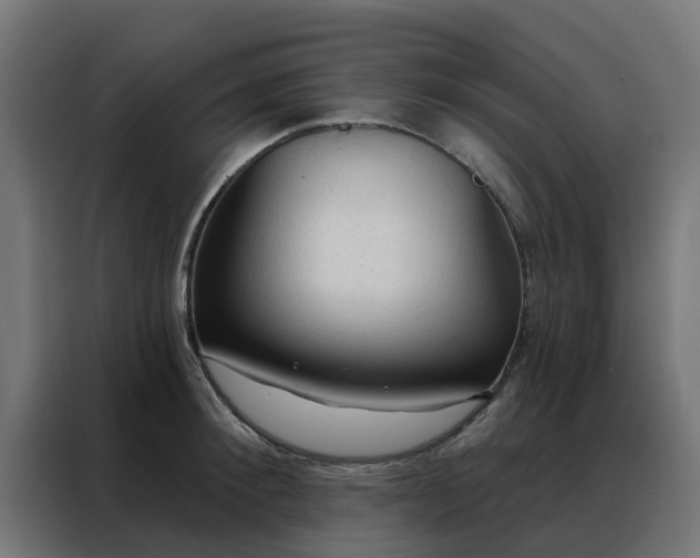 X0000088180900200705221640