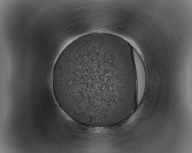 X0000088180903200705221640