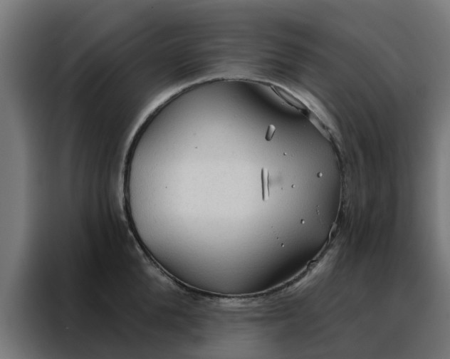 X0000088180904200705221640
