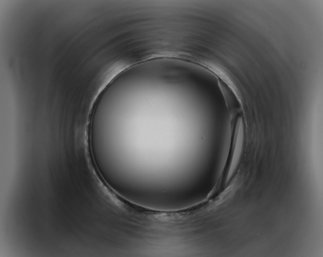X0000088180906200705221640