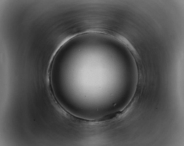 X0000088180908200705221640