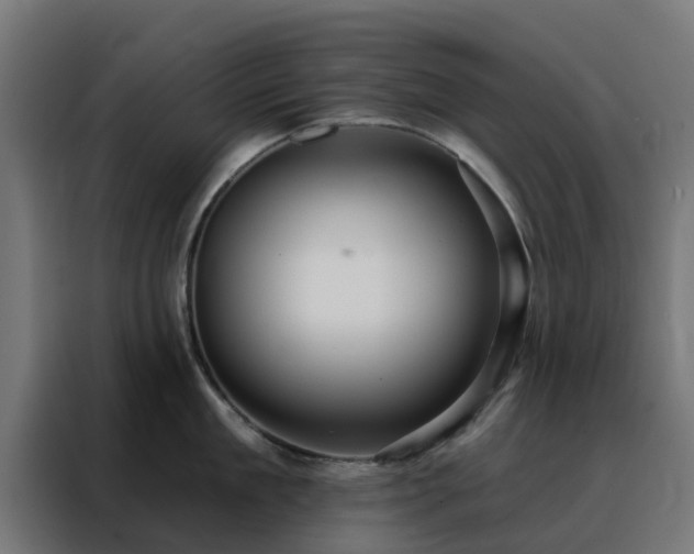 X0000088180909200705221640