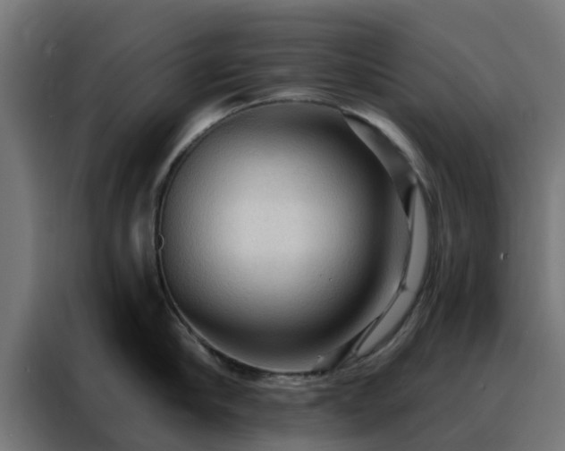 X0000088180910200705221640