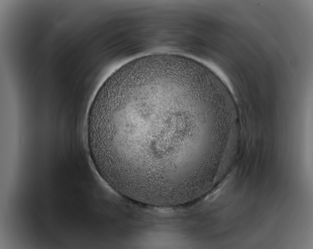 X0000088180911200705221640