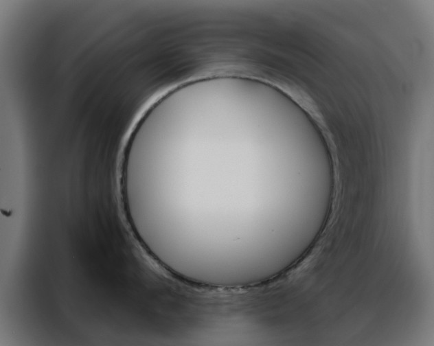 X0000088180912200705221640