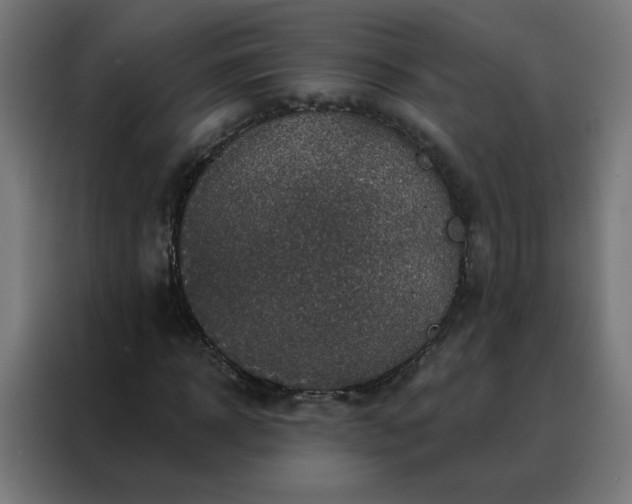 X0000088180918200705221639