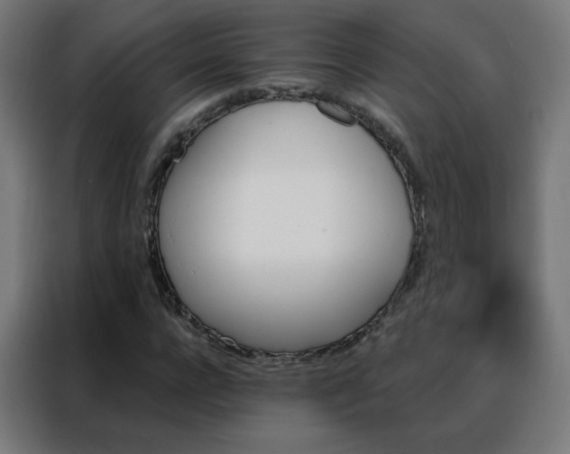 X0000088180920200705221639