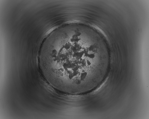 X0000088180921200705221639