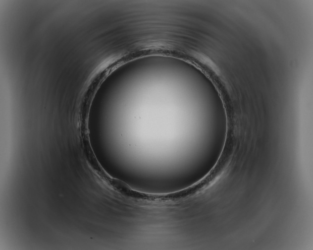 X0000088180922200705221639