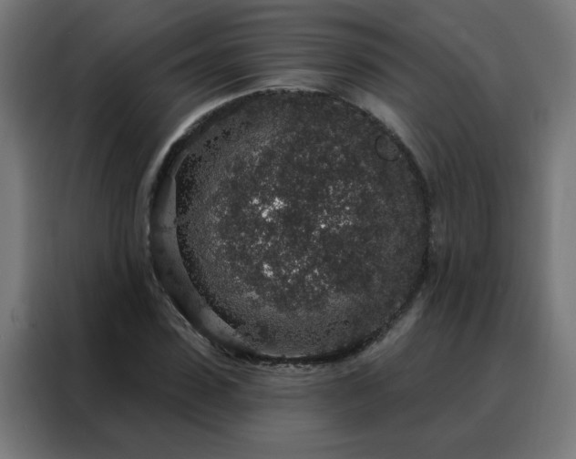 X0000088180923200705221639