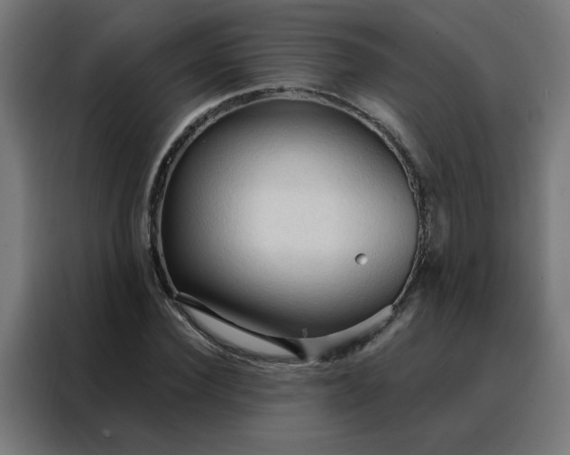 X0000088180924200705221639