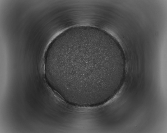 X0000088180925200705221639