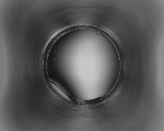 X0000088180926200705221639