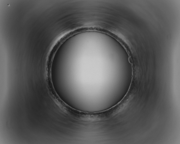 X0000088180927200705221639