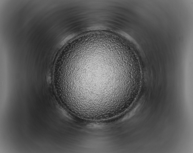 X0000088180929200705221639