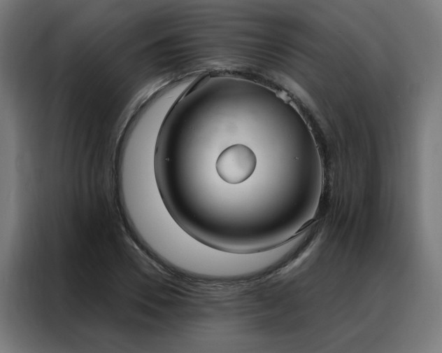 X0000088180930200705221639