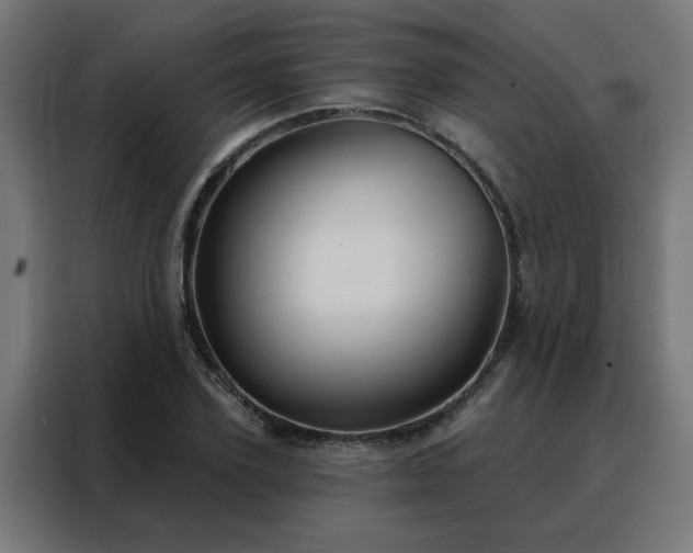 X0000088180931200705221639