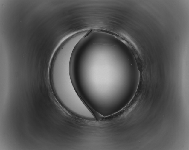 X0000088180932200705221639
