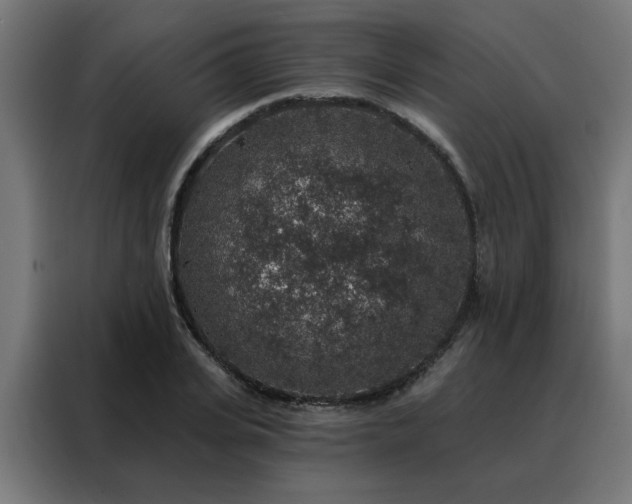 X0000088180935200705221639