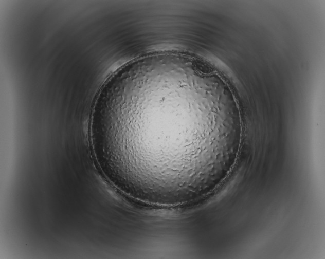 X0000088180937200705221639