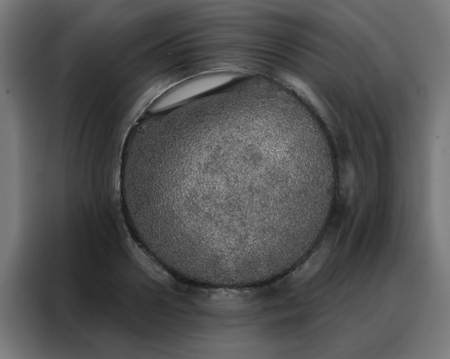 X0000088180938200705221639