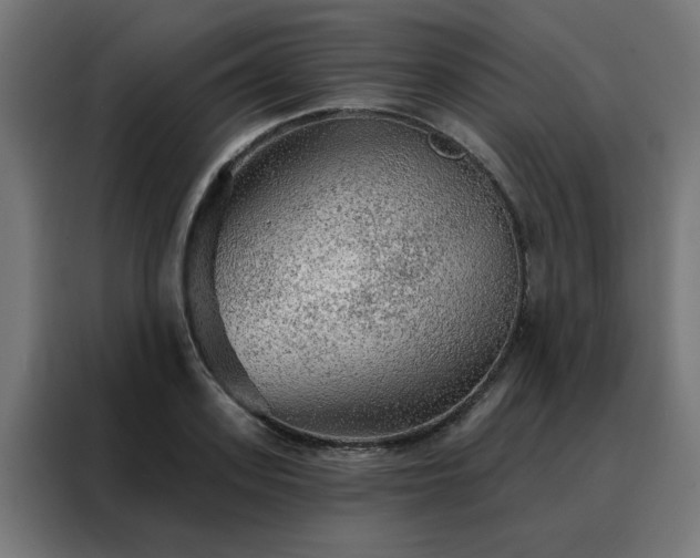 X0000088180939200705221639
