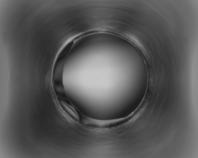 X0000088180940200705221639