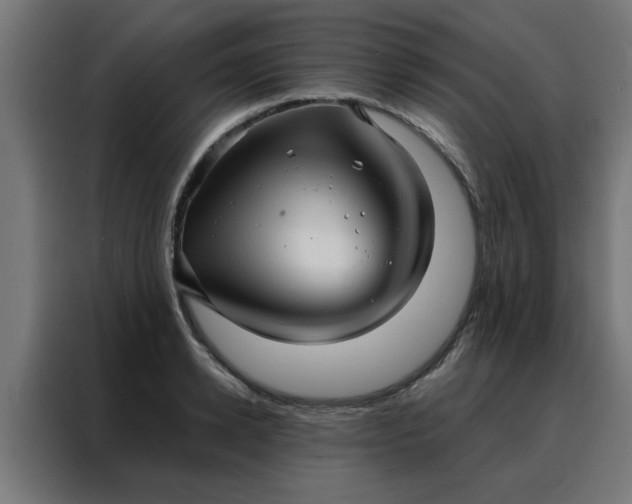 X0000088180942200705221639