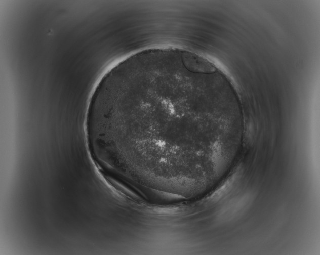 X0000088180943200705221639