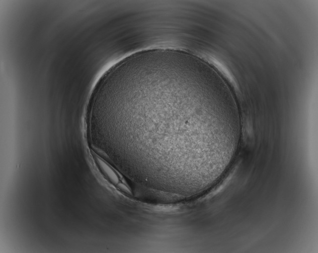 X0000088180944200705221639